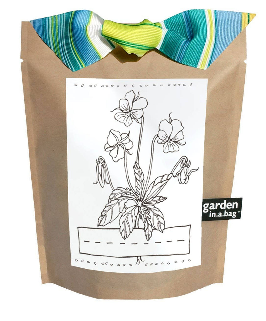 (Kid's) Garden in a Bag - "Pansy"